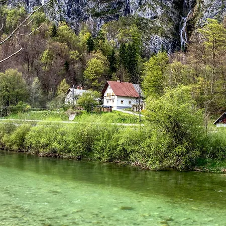 Apartma Pr'kovac *